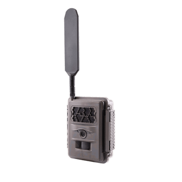 Product picture of Burrel N24 trail camera