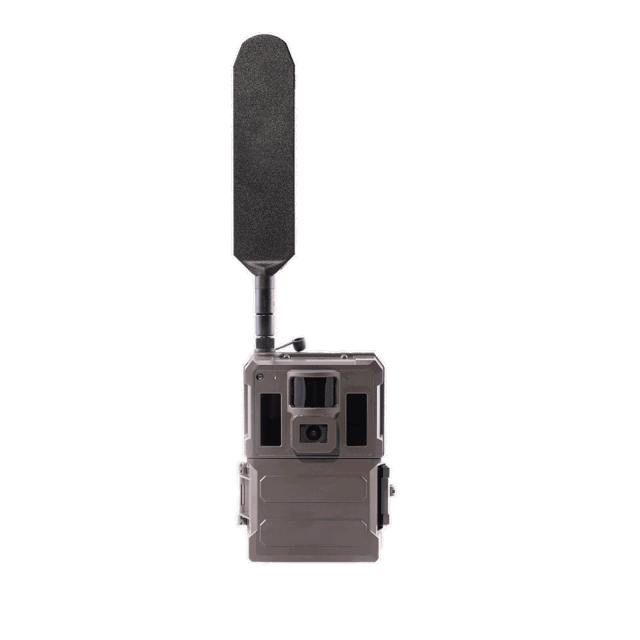 Product picture of Burrel S22WA trail camera