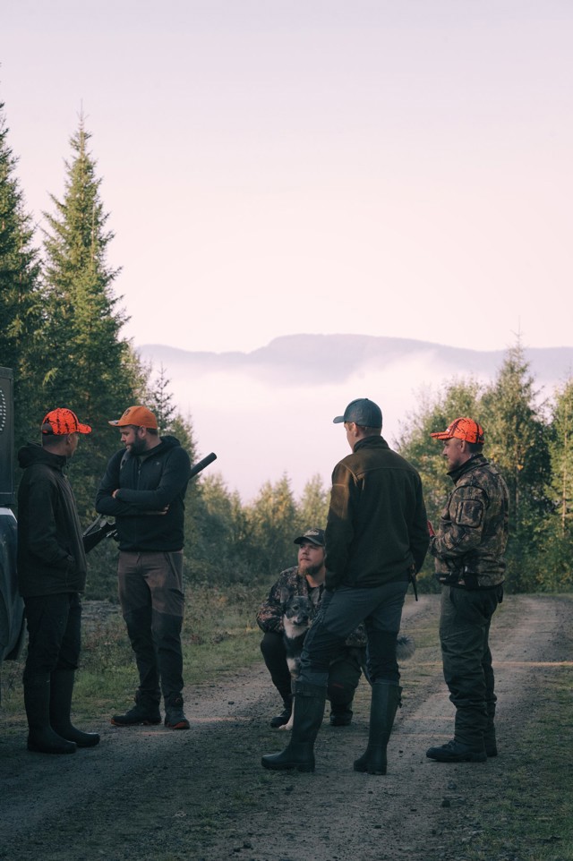 Hunting team viewing the landscape