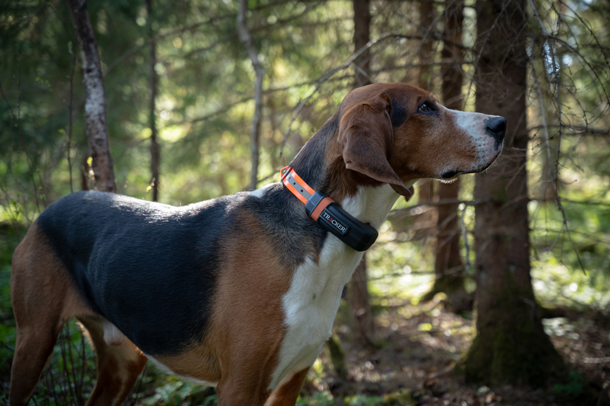 Tracker Luna Stövare