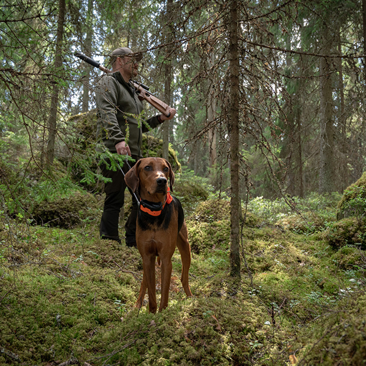 Tracker Artemis dog tracking collar