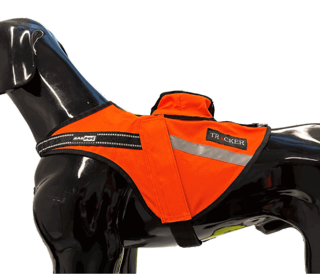 Bild der Hundeweste Tracker Sisu für einen Jagdhund auf einem Plasthund