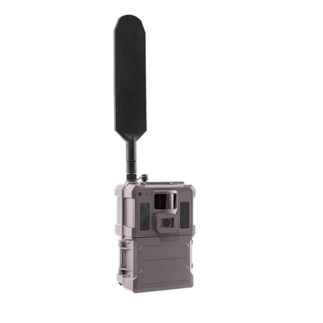 Product picture of Burrel S22WA trail camera