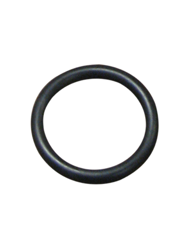 Picture of o-ring for R10