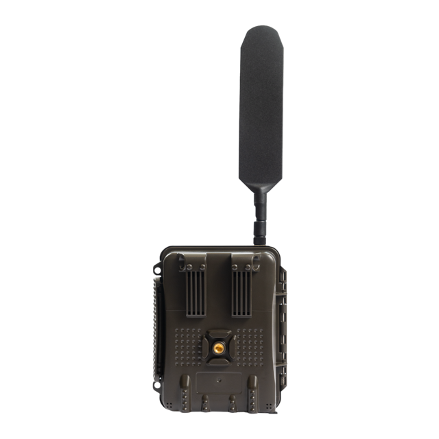 Burrel N24 from back