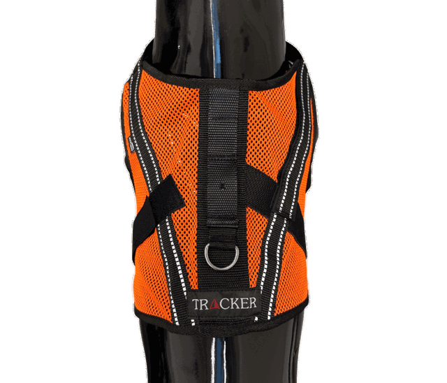 Photo du Tracker Aira, gilet léger pour chien, sur un chien en plastique