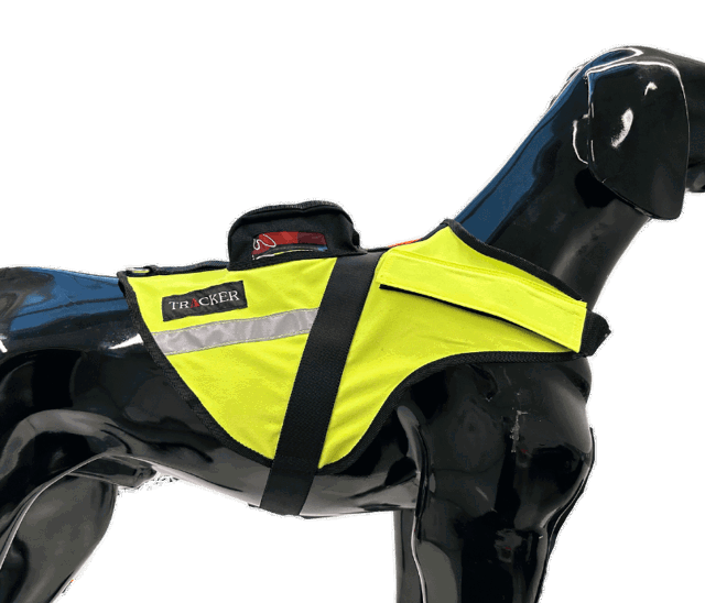 Bild der Hundeweste Tracker Sisu für einen Jagdhund auf einem Plasthund