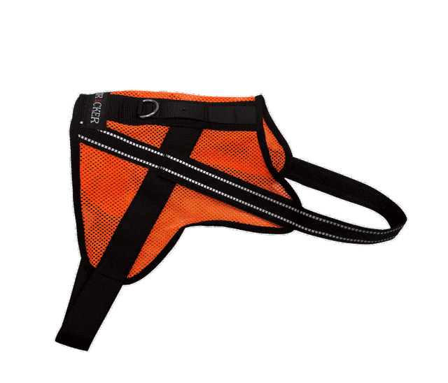 Photo du Tracker Aira, gilet léger pour chien