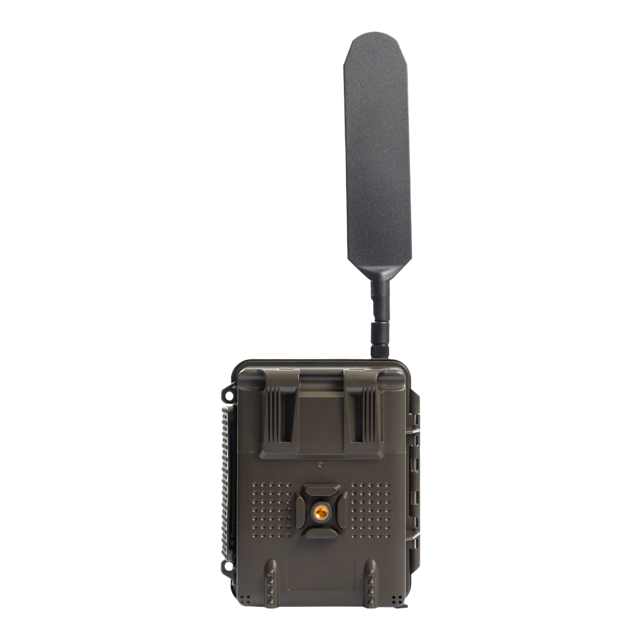 Photo of back of BurrelE24 